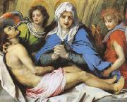 Pieta (mk08) Andrea del Sarto